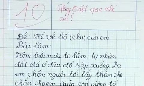 Học sinh lớp 4 viết bài văn kể về bố đạt điểm 10 tuyệt đối, đọc đến đâu giáo viên xúc động đến đó