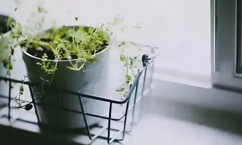 3 lời người khôn ngoan chọn giấu kín trong lòng, sẽ không tùy tiện nói với con cái 