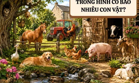 Đố bé có bao nhiêu con vật trong ảnh?