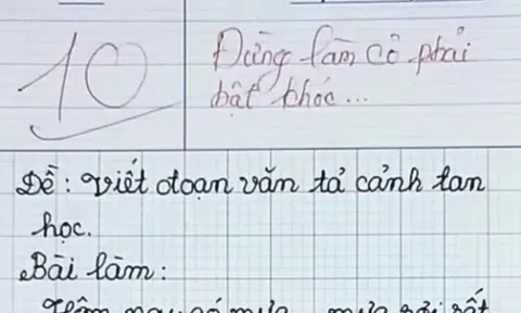 Viết văn tả cảnh tan học, bé tiểu học nhận điểm 10 tròn trĩnh, cô giáo lên tiếng: Đừng làm cô khóc