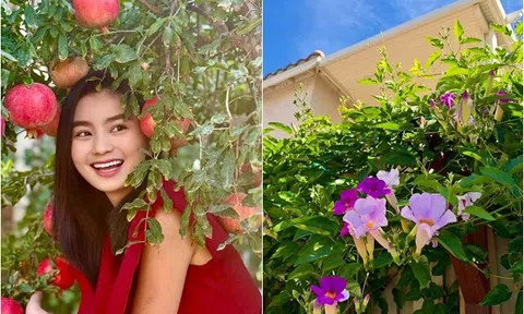 "Em gái Hồng Đăng" có ngôi nhà xinh đúng mơ ước từ nhỏ, giàn hoa leo phủ kín tường đẹp nên thơ