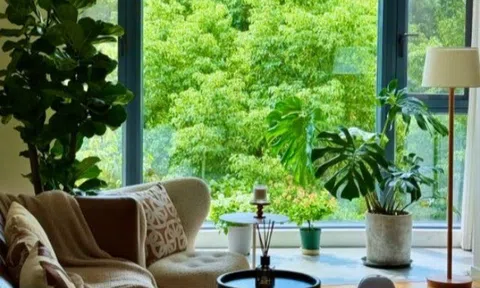 Tại sao người sành sỏi thường không mua nhà tầng 2? Hóa ra đây là lý do