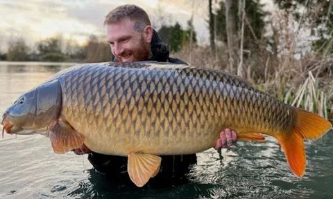 Cận cảnh con cá chép khổng lồ nặng gần 29 kg, cần thủ vật vã mới mang được lên bờ