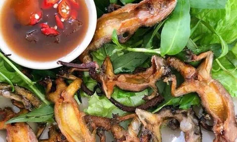 Choáng váng với loại "thần dược" vách đá giá 1,5 triệu/kg: Đặc sản Tây Ninh có gì mà đắt đỏ đến thế?