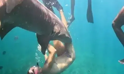 Kinh hoàng khoảnh khắc cá mập lao lên ngoạm chặt chân nữ du khách ngay khi vừa nhảy xuống biển