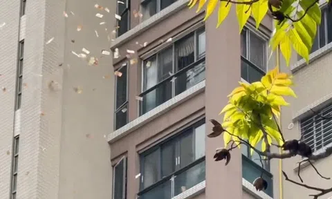 "Mưa tiền" rơi giữa phố, đám đông hỗn loạn tranh cướp, cảnh sát vào cuộc khẩn cấp