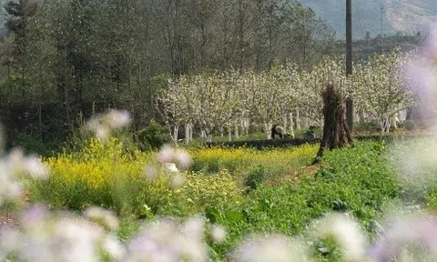 Đi đâu, chơi gì dịp Giỗ Tổ và 30/4-1/5?