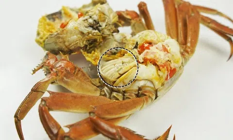 Bộ phận bẩn nhất của cua, chứa nhiều tạp chất và vi khuẩn, nên tránh ăn