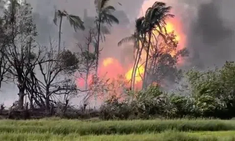 Nổ kho pháo hoa kinh hoàng, hơn 40 người thương vong, cả vùng hoảng loạn