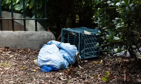 Bán sạch gia sản ở quê nhà cho con đi du học, cha mẹ bàng hoàng nhận tin báo thử ADN