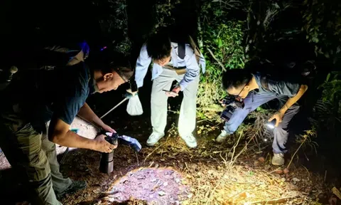 Phát hiện "rắn hai đầu" cực hiếm tại Trung Quốc, diện mạo gây ngỡ ngàng