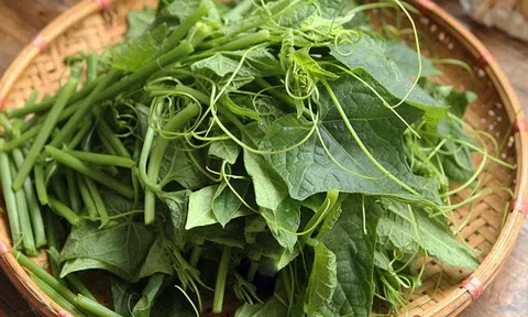 Loại rau đang vào mùa tại Việt Nam, được ví như "rau râu rồng" với phần râu xoăn đặc trưng