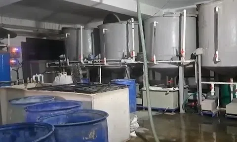 Vệ sinh bể tự hoại, 4 công nhân thiệt mạng: Hiện trường có gì?