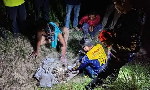 Vô tình nhát cuốc trúng "kho báu" 500 năm: Lão nông chết lặng khi thấy thứ nằm xen lẫn những đồng xu bạc