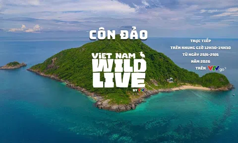 Lần đầu tiên VTV phát sóng trực tiếp đời sống hoang dã tại Côn Đảo, đưa thiên nhiên Việt Nam đến gần công chúng