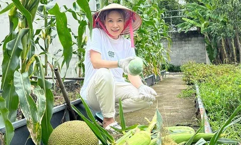 Bất ngờ với nhà mặt phố và “biệt phủ” hàng chục tỷ của ca sĩ Mỹ Tâm