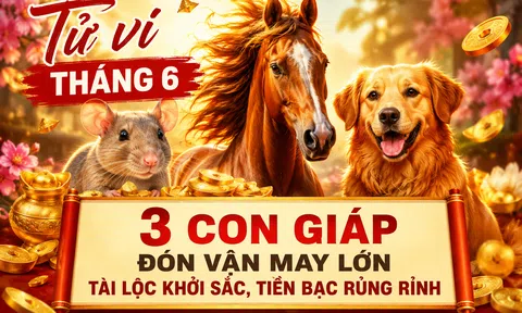 Điểm danh 3 con giáp may mắn nhất tháng 6: Sự nghiệp thăng hoa, tiền về liên tục