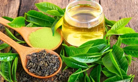 Uống trà xanh mỗi ngày trong 6 tháng, bác sĩ nhận về loạt lợi ích cho sức khỏe