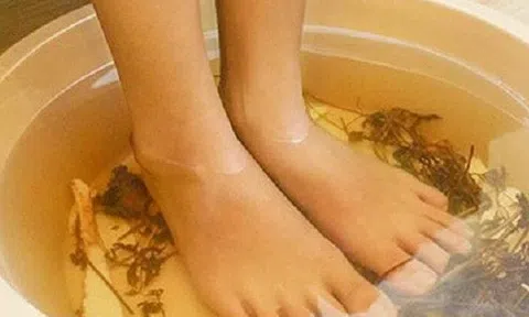 Ngải cứu và thói quen ngâm chân buổi tối: Lợi ích và những điều cần biết
