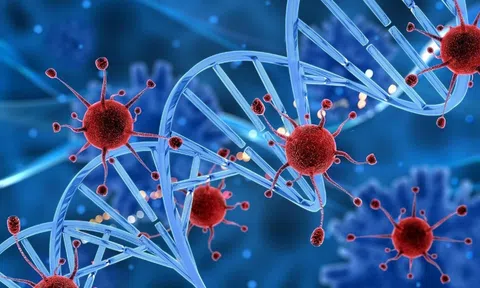 Ít ai ngờ tình trạng này lại làm tăng nguy cơ tim mạch mà còn liên quan đến 19 loại ung thư