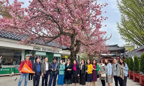 TSTtourist nhận giải tại World Travel Awards 2026