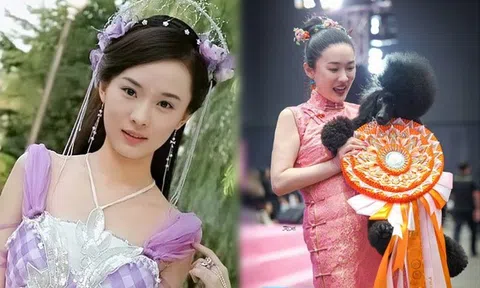 Nữ thần màn ảnh một thời Hoắc Tư Yến bất ngờ trở thành người huấn luyện chó, còn giành giải quốc tế