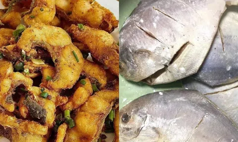 Ra chợ thấy 5 loại cá này đừng chần chừ hãy mua ngay: Chỉ có ngoài tự nhiên, mua được là 'trúng mánh'