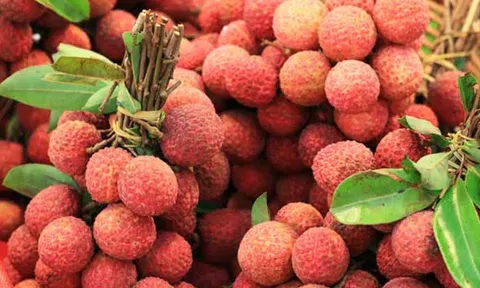 Những thực phẩm là 'kẻ thù' của quả vải: Ăn sai cách có thể rước bệnh vào người