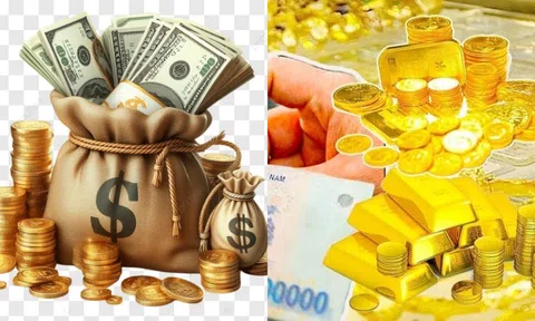 7 ngày đỏ hơn son (3-9/6): 4 con giáp càng làm càng giàu, tiền đếm mỏi tay, vận may ập tới