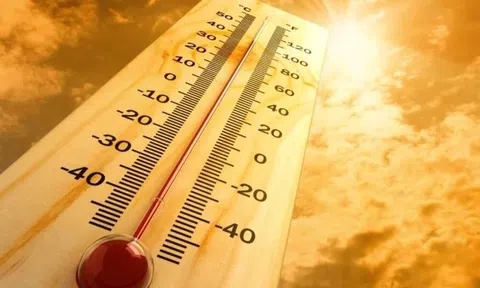 Nắng nóng, thân nhiệt tăng vọt lên 41 độ C, người đàn ông tử vong vì sốc nhiệt: Dấu hiệu cần nhận biết trước khi quá muộn