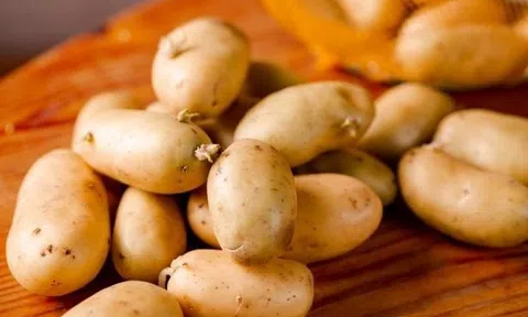 3 loại rau chứa đầy độc tố, nhiều người không biết vẫn mua: Hãy bỏ ngay kẻo rước bệnh vào người