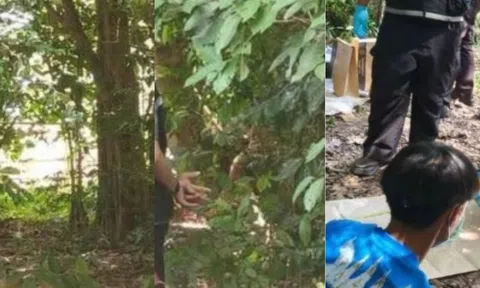 Mẹ vào rừng hái nấm, bủn rủn phát hiện thi thể con gái: Nhiều dấu hiệu bất thường từ chiếc quần