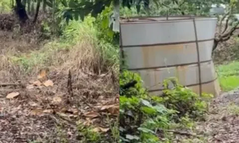Phát hiện thi thể phụ nữ quấn kín màng bọc thực phẩm trong vườn vải, suốt nửa năm không ai hay biết