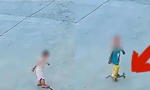 Camera ghi cảnh hai đứa trẻ vô tình giẫm phải rắn hổ mang trước cửa nhà khiến ai cũng thót tim
