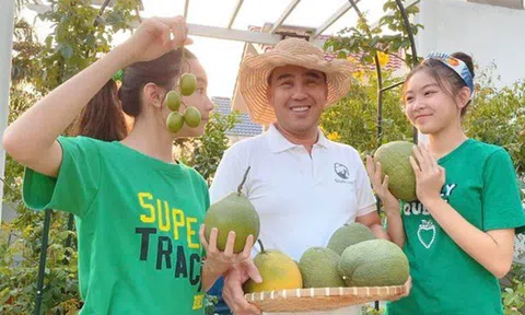 Mãn nhãn khu vườn ngập tràn hoa trái của gia đình Quyền Linh