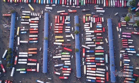 TP.HCM dừng 54 tuyến xe buýt do ảnh hưởng Covid-19