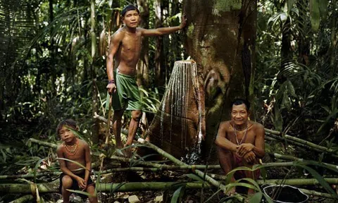 Giải mã bí ẩn: Bộ lạc kỳ lạ chỉ ngủ 20 -30 phút vì nếu ngủ nhiều, quyền lực sẽ bị đánh cắp