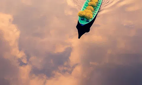 Cảnh nhà sư chèo thuyền chở hoa của nhiếp ảnh gia Việt lọt top ảnh đẹp thế giới