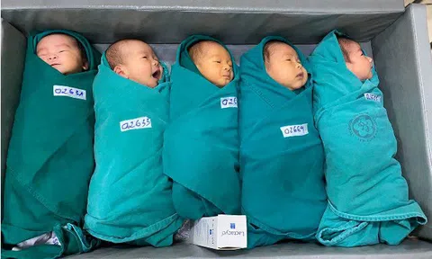 5 "thiên thần" đáng yêu chào đời tại bệnh viện cách ly