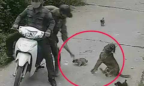 Điều tra vụ người dân tử vong khi truy đuổi hai tên trộm chó