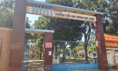 Thầy giáo tát học sinh lớp 4 trong giờ học bị đình chỉ dạy