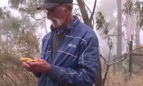 Làm theo giấc mơ cho vui, cụ ông "vớ bở" khối vàng ròng chục tỷ đồng