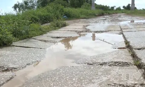 Hàng loạt tuyến đê vừa tốn trăm tỷ nâng cấp, sửa chữa lại xuất hiện vết nứt