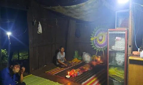 Đi chăn bò giúp gia đình, học sinh lớp 2 bị rắn cắn tử vong