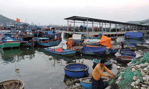 Khánh Hòa: 17 người dương tính với SAR-CoV-2 liên quan đến cảng cá Hòn Rớ