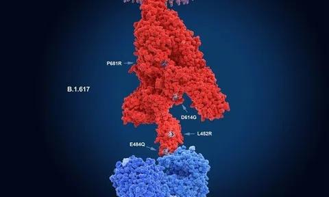 WHO cảnh báo biến thể Delta là biến thể chủ đạo trong vài tháng tới