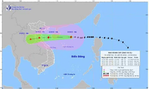 Bão số 8 di chuyển nhanh, gây mưa rất to
