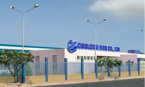 Thêm loạt nhà đầu tư bị xử phạt vi phạm trong lĩnh vực chứng khoán và thị trường chứng
