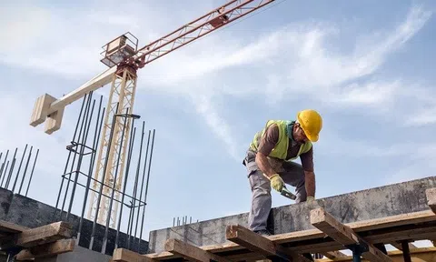 Vinaconex 9 thua lỗ kỷ lục, Phó Chủ tịch dự định thoái toàn bộ vốn