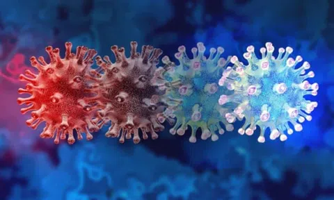 Làm gì để an toàn trước nỗi lo với siêu biến chủng nguy hiểm Omicron?